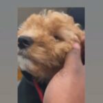 Hi I’m Teddy