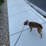 Printz is looking for a new home
