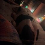 American bulldog