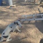 5 Left in Ridgecrest, California