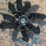 AKC European American Doberman puppies