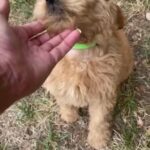 Tucker