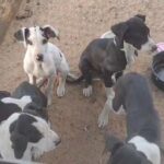 Must watch in Ridgecrest, California