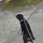 Out On A Walk in Portsmouth, Virginia