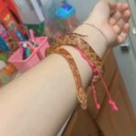Snake in Boston, Massachusetts