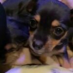 I’m Fiona in Spokane, Washington