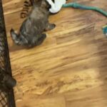 Bundle Of Joy in Longview, Texas