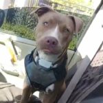Raina-Sky in El Cajon, California