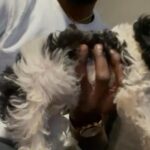 10Wk Old Female Cockapoo in Longview, Texas