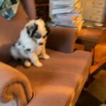 Peter in Oshkosh, Wisconsin