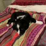 Rosie in Riverside, California