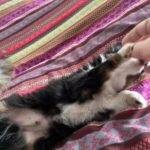 Manny in Riverside, California