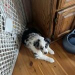 Hearing Impaired Peter in Riverside, California