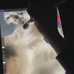 Drawing Sherry LIVE! ??? in Bartlesville, Oklahoma