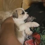 Looking For A Sweet Home in Aurora, Colorado