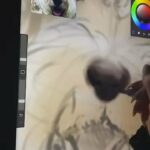 Drawing Flynn LIVE!! ?❤️ in Bartlesville, Oklahoma
