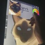 Drawing Cryus LIVE!! ?❤️ in Bartlesville, Oklahoma