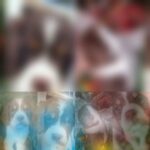 AKC REGISTERED SPRINGER PUPS in Charleston, South Carolina