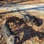 Running Around on a Saturday Morning in Sand Springs, Oklahoma