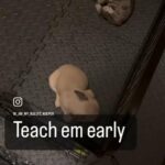 Training in Oklahoma City, Oklahoma