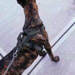 Onyx in Newark, New Jersey