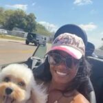 Female Cavapooh For Sale in Auburndale, Florida