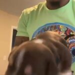 THIRD PICK CHOCOLATE BOY in Miami Gardens, Florida
