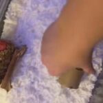 Syrian female hamster in DeKalb, Illinois