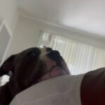 His Is Really A Big Baby in Long Beach, California