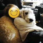 1yearold great girl in Anderson, Indiana