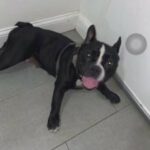 Need A Home in East Orange, New Jersey