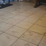 Playful Boxers Puppies in Arizona City, Arizona