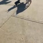 8month Blue Girl in Cleveland, Ohio