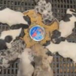 Frenchie Pups 4weeks Old in Chicago Heights, Illinois