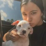Puppy For Sale in Port St. Lucie, Florida