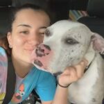 Puppy For Sale in Port St. Lucie, Florida