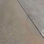 German shepherd/Huskie Mix in Houston, Texas