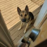 handsome boy in Clarksville, Tennessee
