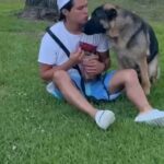 German Shepherd in Houston, Texas