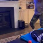 AKC Toy Poodle For Pet Only in Cleveland, Ohio