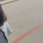 Bully Dog in Austin, Texas
