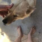 Ivris in Lancaster, California