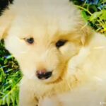 Green Eyed Girl in Rancho San Diego, California