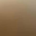 Charlie 4 Months Shih-Mo Puppy(make An Offer) in Queens, New York