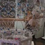Baby lovebird in Phoenix, Arizona