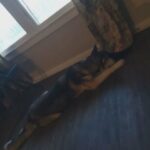 Beautiful Husky !!FREE TO GOOD HOME!! in Corpus Christi, Texas