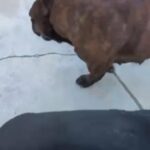 Looking For A Home! in Santa Ana, California