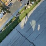Stud Red Standard Poodle in Menifee, California