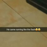 Giving away my bunny for free in Fort Myers, Florida