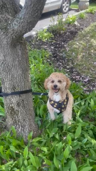 Lucky in New York City, New York
